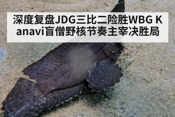 深度复盘JDG三比二险胜WBG Kanavi盲僧野核节奏主宰决胜局