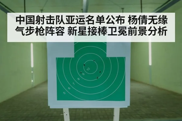 air rifle competition