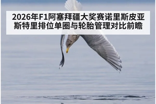 2026年F1阿塞拜疆大奖赛诺里斯皮亚斯特里排位单圈与轮胎管理对比前瞻