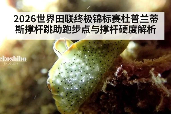 2026世界田联终极锦标赛杜普兰蒂斯撑杆跳助跑步点与撑杆硬度解析