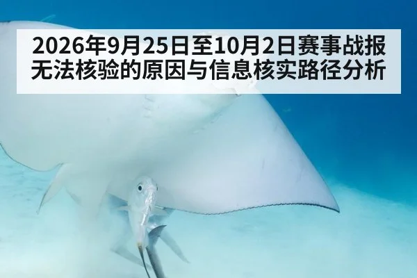 2026年9月25日至10月2日赛事战报无法核验的原因与信息核实路径分析