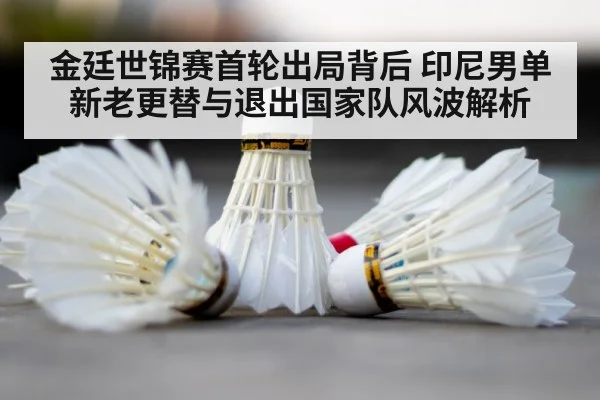 badminton court shuttlecock close up
